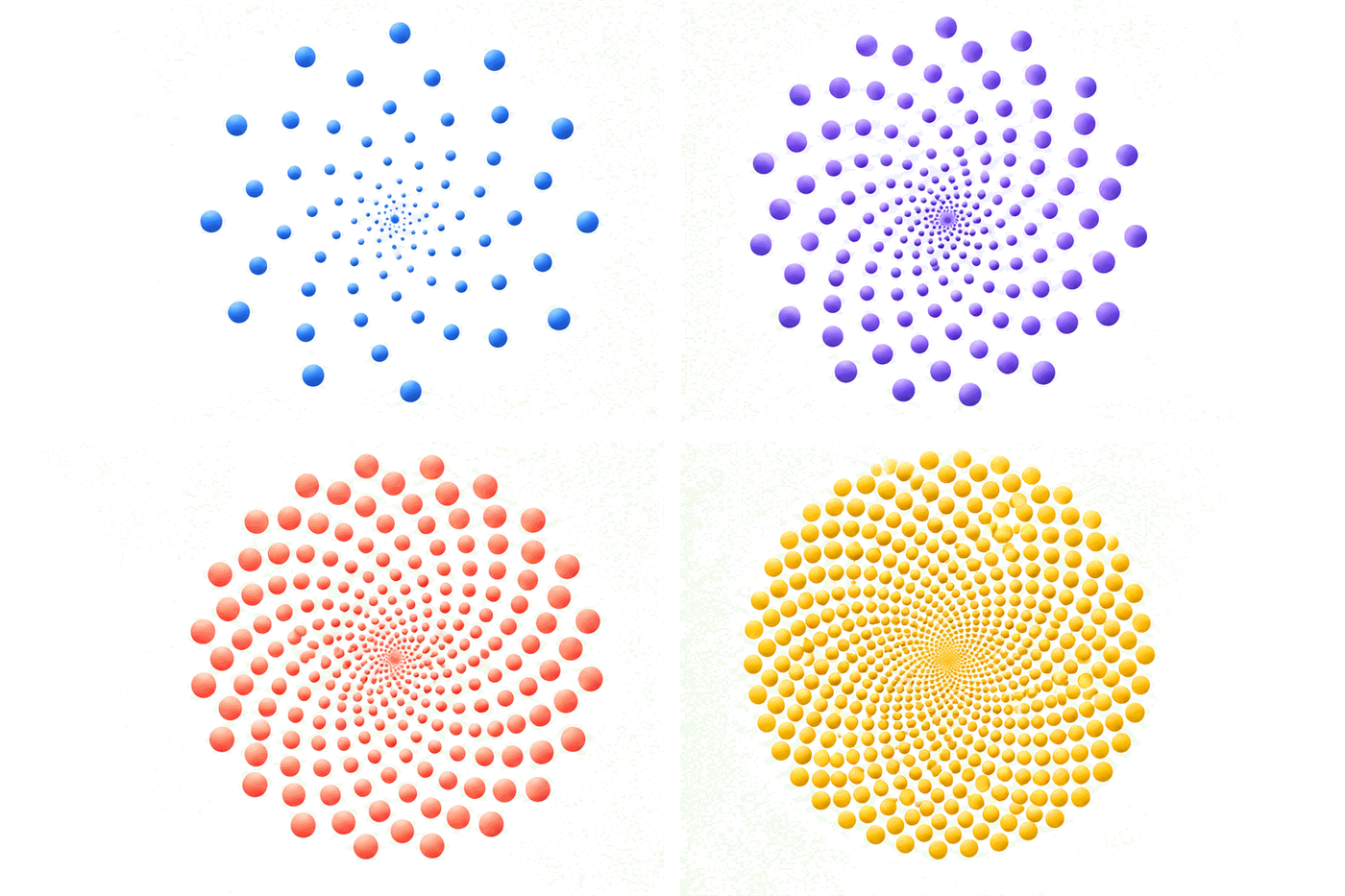 Comparison of phyllotaxis patterns with different point counts